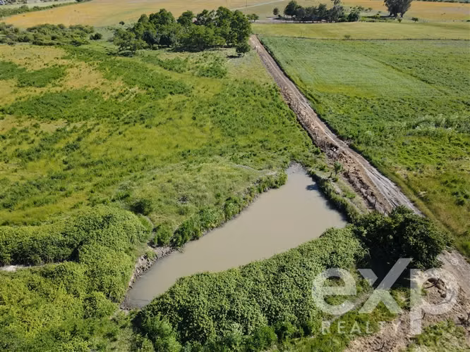 Campo agrícola en venta en Chillán