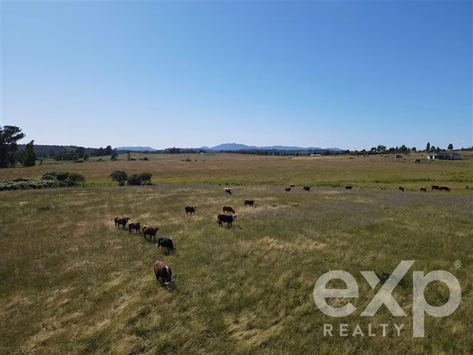 Campo agrícola en venta en Chillán