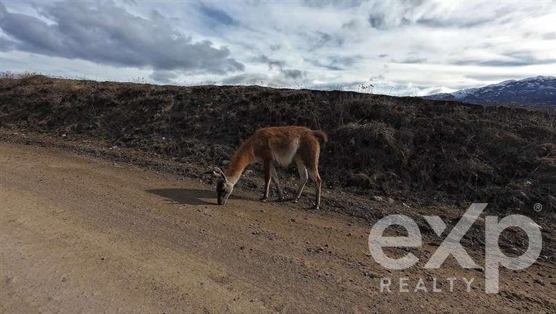 Oportunidad Parcela a 200mt de Río Baker (camino público)