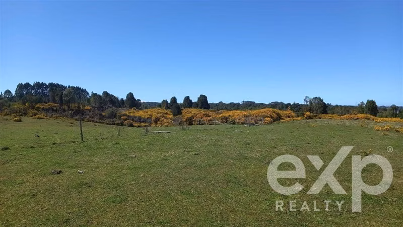 Sitio en venta sup 5000 mts 2 en Llanquihue, HORTENSIAS DE M