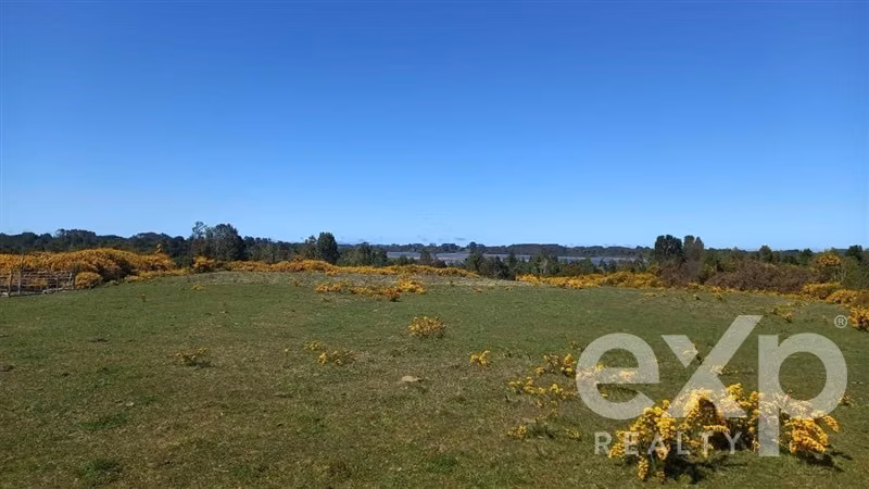 Sitio en venta sup 5000 mts 2 en Llanquihue, HORTENSIAS DE M