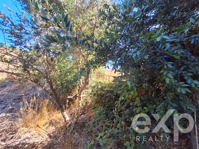 Venta de sitio con casa en Pichilemu - Imagen 20