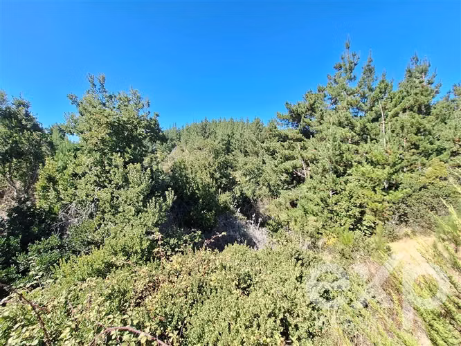 Venta Terreno con casa en Pichilemu