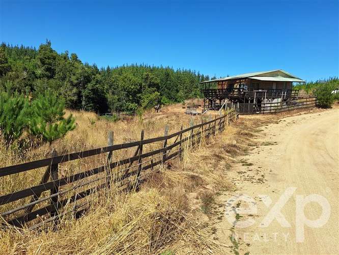 Venta Terreno con casa en Pichilemu - Imagen 22
