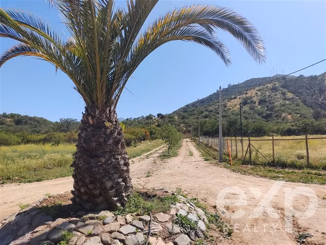 Parcela 5.470 m2 se vende en Olmué. Luz, agua y rol propio. - Imagen 9