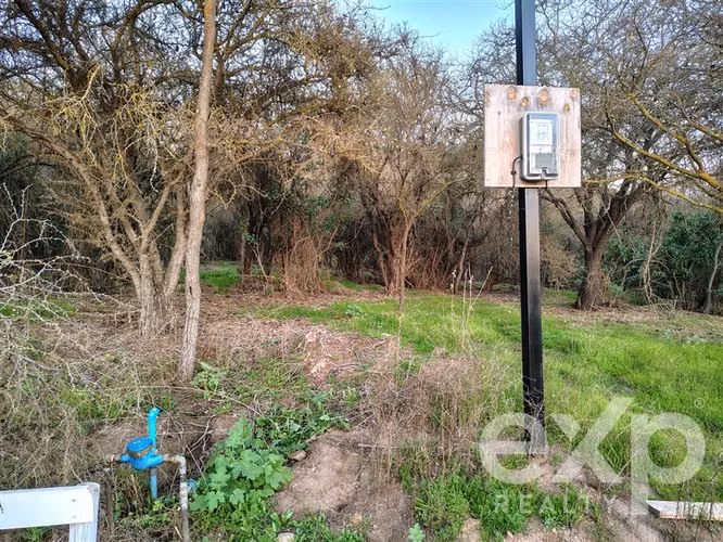 Parcelas 5.000 m2 en Olmué. Luz, agua, Internet, rol propio. - Imagen 9