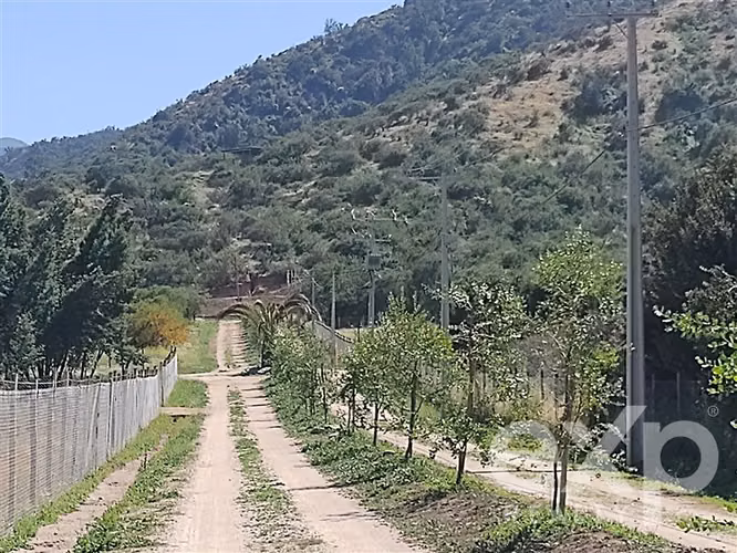 Parcelas 5.000 m2 en Olmué. Luz, agua, Internet, rol propio. - Imagen 13