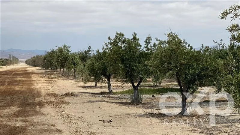Terreno Agrícola en Venta, Inversión en Copiapó