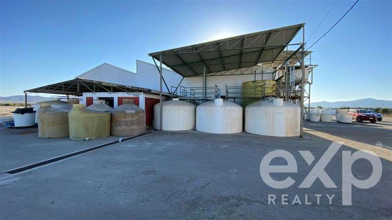Terreno Agrícola en Venta, Inversión en Copiapó - Imagen 10