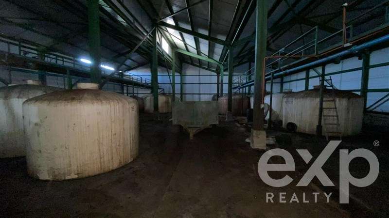 Terreno Agrícola en Venta, Inversión en Copiapó - Imagen 3