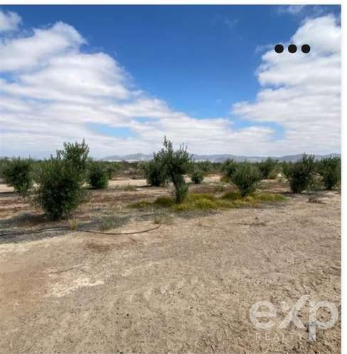 Terreno Agrícola en Venta, Inversión en Copiapó - Imagen 9