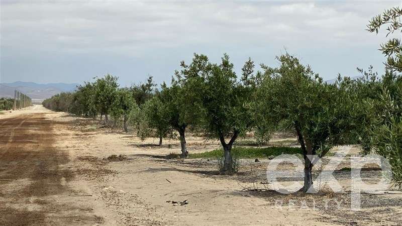 Sitio en venta en Copiapó - Imagen 7