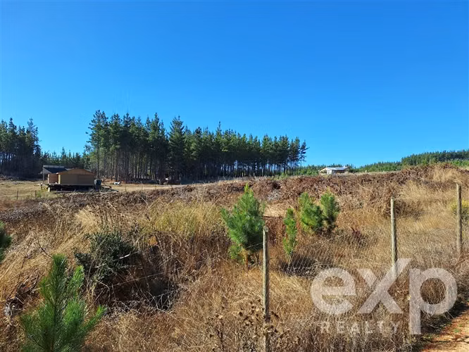 Terreno L187 en venta en Pichilemu.