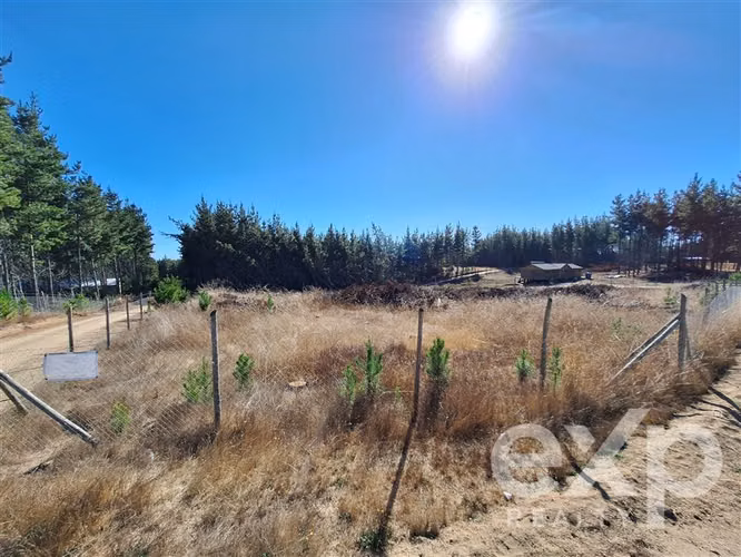 Terreno L187 en venta en Pichilemu.