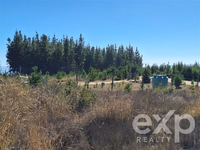 Terreno L187 en venta en Pichilemu.