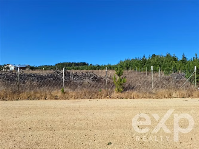Terreno L187 en venta en Pichilemu.