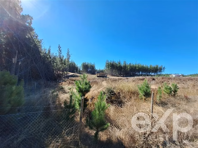 Sitio L187 en venta en Pichilemu.