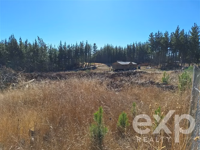 Sitio L187 en venta en Pichilemu.