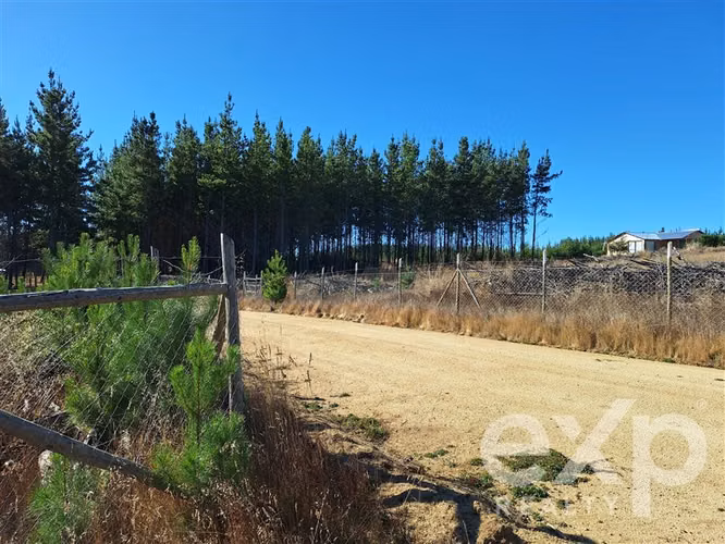 Parcela L187 en venta en Pichilemu.