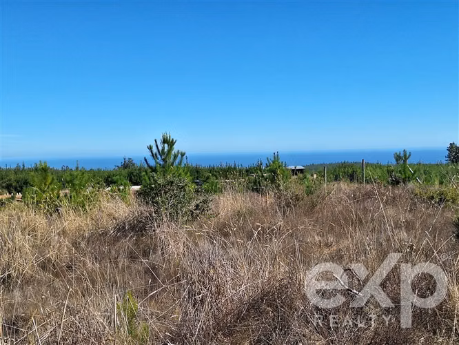 Venta Sitio L109 5.000m2 vista al mar, Pichilemu