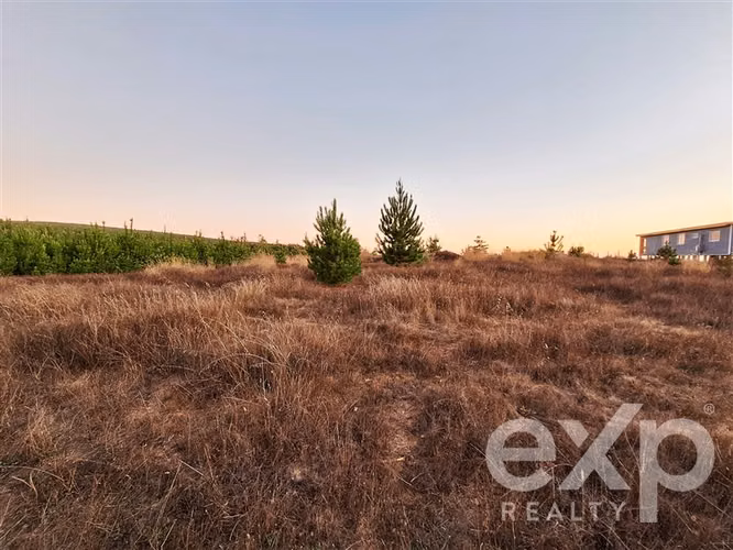 Venta Sitio L109 5.000m2 vista al mar, Pichilemu