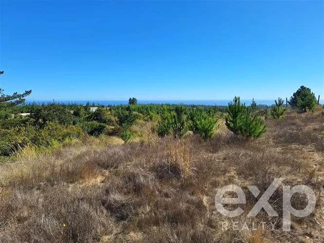 Venta Parcela L109 5.000 m2 vista al mar, Pichilemu