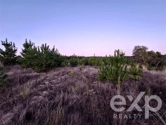 Venta Parcela L109 5.000 m2 vista al mar, Pichilemu