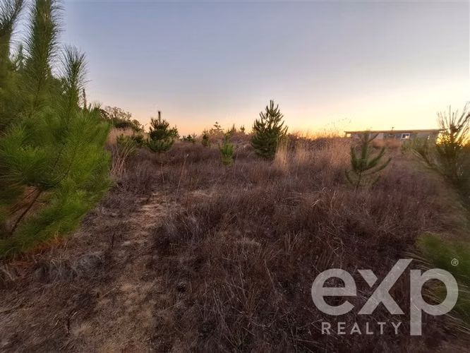 Venta Terreno L109 5.000 m2 vista al mar, Pichilemu