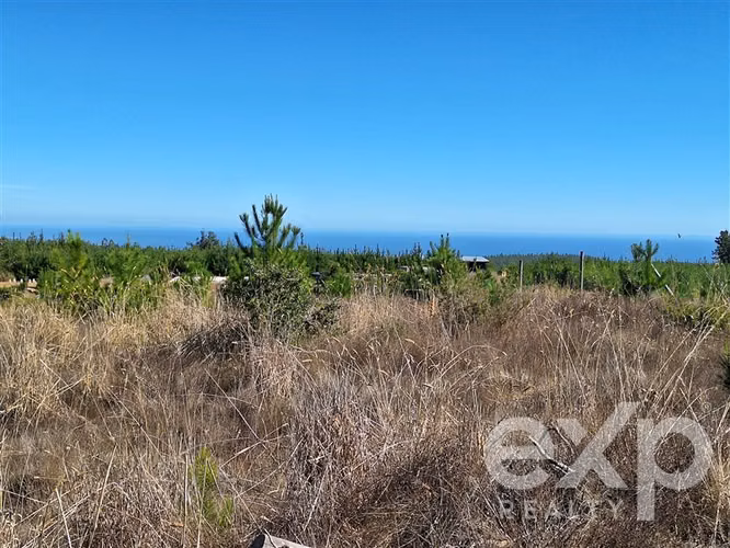 Venta Terreno L109 5.000 m2 vista al mar, Pichilemu