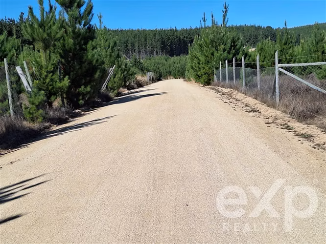 Venta Terreno L109 5.000 m2 vista al mar, Pichilemu