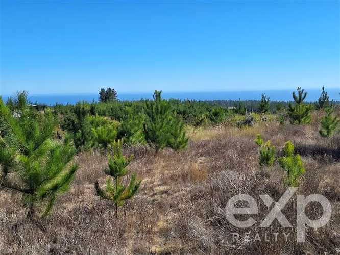 Venta Terreno L109 5.000 m2 vista al mar, Pichilemu