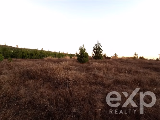 Venta Terreno L109 5.000 m2 vista al mar, Pichilemu