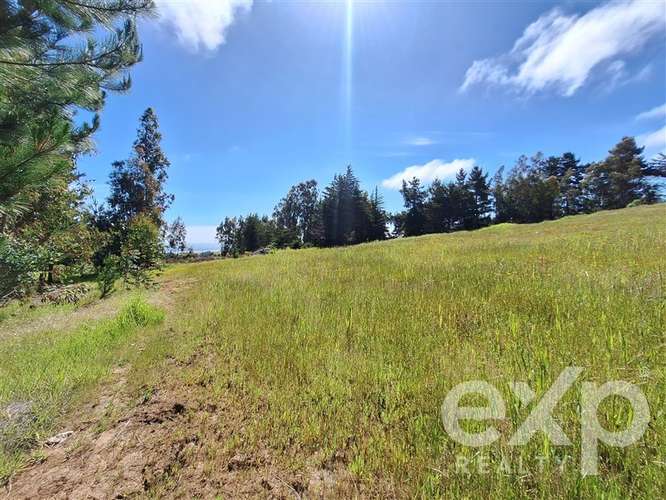 Sitio 3 has. en venta en Pichilemu - Imagen 23
