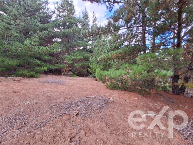 Sitio 3 has. en venta en Pichilemu - Imagen 17