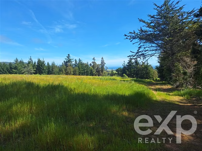 Sitio 3 has. en venta en Pichilemu
