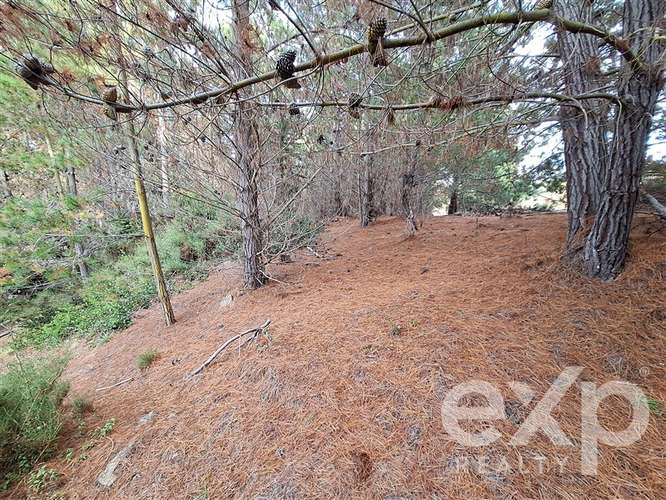 Sitio 3 has. en venta en Pichilemu - Imagen 18