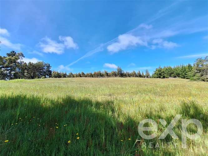 Sitio 3 has. en venta en Pichilemu - Imagen 11