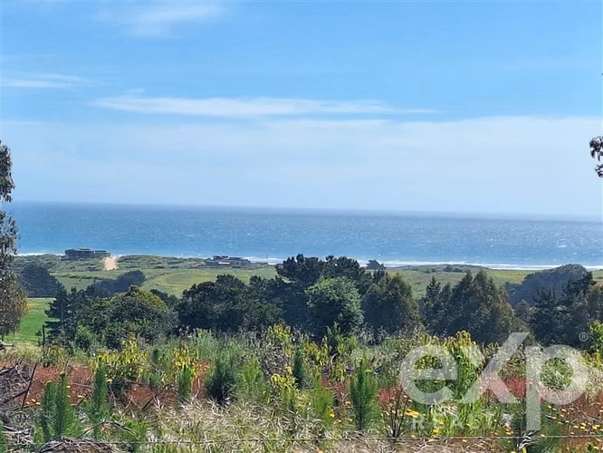 Sitio 3 has. en venta en Pichilemu