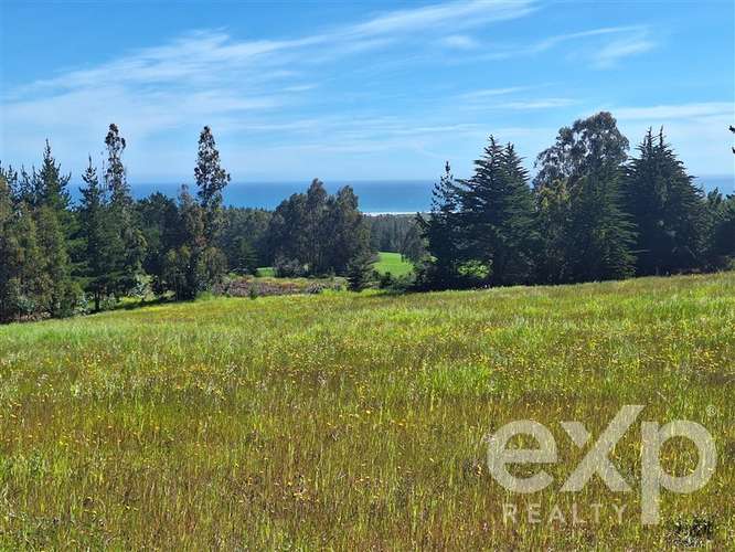 Sitio 3 has. en venta en Pichilemu - Imagen 3