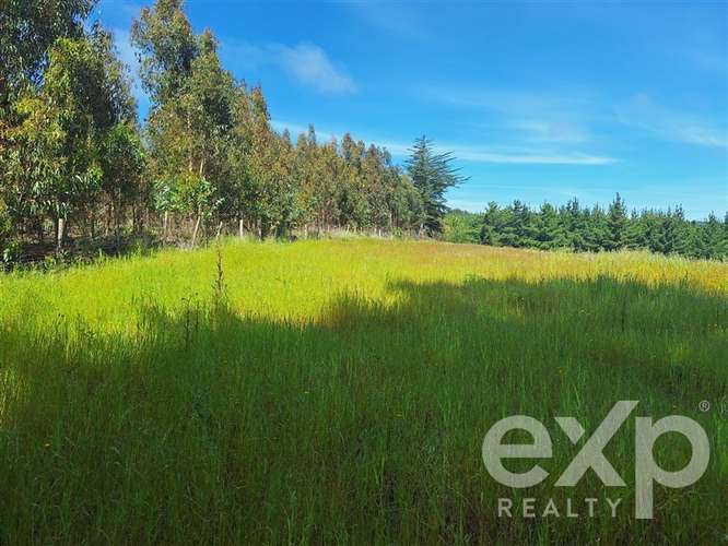 Sitio 3 has. en venta en Pichilemu - Imagen 6