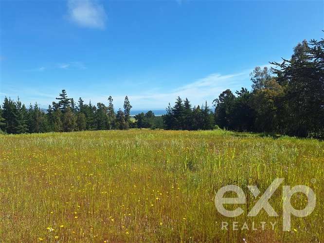 Sitio 3 has. en venta en Pichilemu - Imagen 2