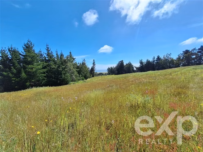 Sitio 3 has. en venta en Pichilemu