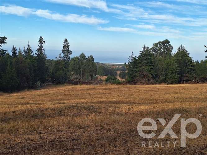 Sitio 3 has. en venta en Pichilemu - Imagen 14