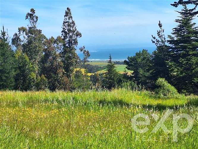 Sitio 3 has. en venta en Pichilemu - Imagen 4