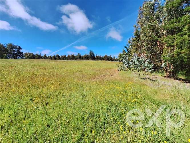 Parcela 3 has. en venta en Pichilemu - Imagen 22