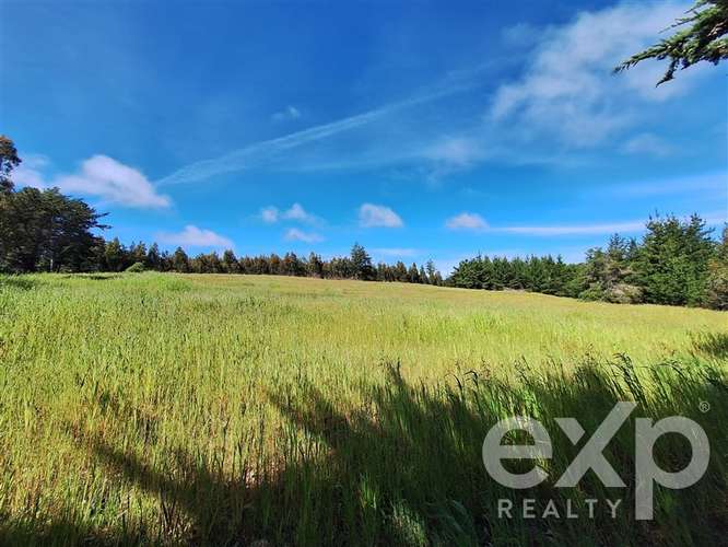 Parcela 3 has. en venta en Pichilemu - Imagen 20