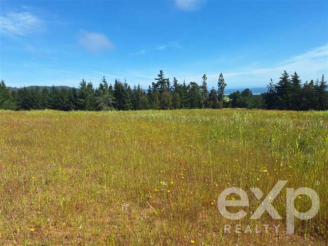 Parcela 3 has. en venta en Pichilemu - Imagen 13