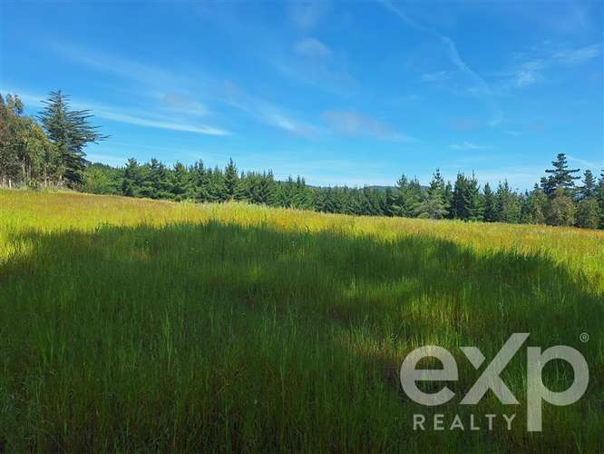 Parcela 3 has. en venta en Pichilemu - Imagen 7