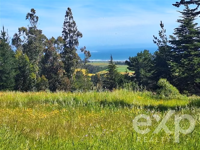 Parcela 3 has. en venta en Pichilemu