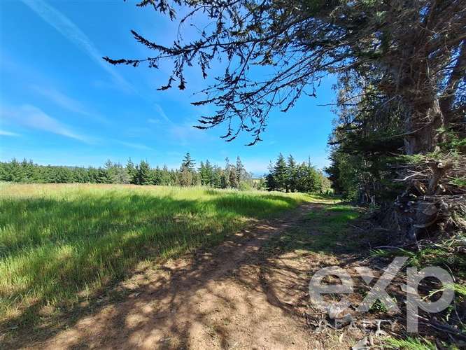 Parcela 3 has. en venta en Pichilemu - Imagen 10